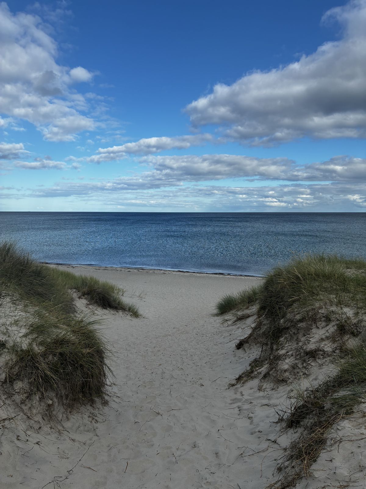 Sandsti mellem klitterne ned til stranden og Kattegat